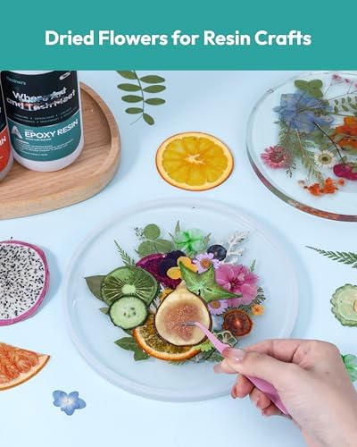 Resiners Bright Fruit Dried Flowers 80pcs