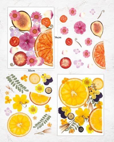 Resiners Bright Fruit Dried Flowers 80pcs