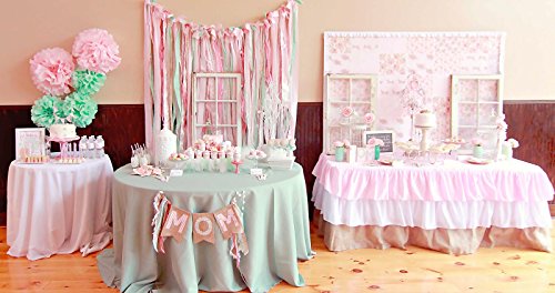 Light Pink and Mint Tissue Paper Pom Poms Decor