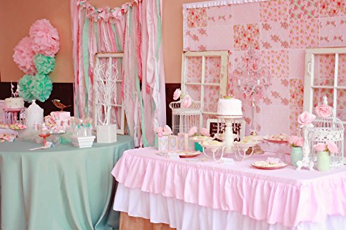 Light Pink and Mint Tissue Paper Pom Poms Decor