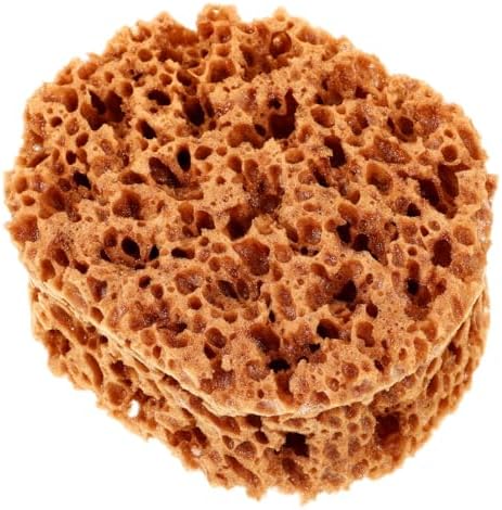 UPKOCH Natural Sea Sponge for Painting - 6 Inch Eco-Friendly Texturing Tool