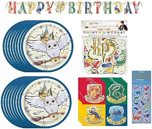 Harry Potter Birthday Party Supplies for 16