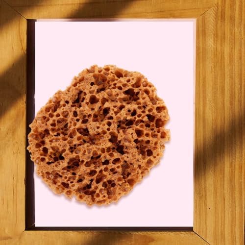 UPKOCH Natural Sea Sponge for Painting - 6 Inch Eco-Friendly Texturing Tool