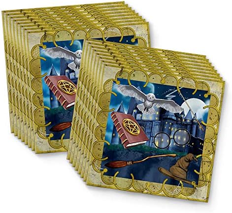 Wizard Castle Birthday Party Supplies for 16