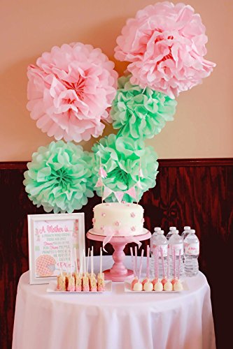 Light Pink and Mint Tissue Paper Pom Poms Decor