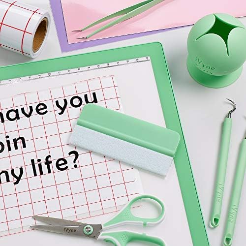 iVyne Green Colorful Plastic Squeegee 2 Pack