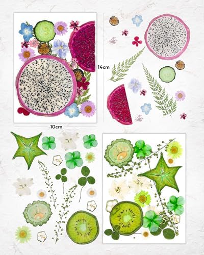 Resiners Bright Fruit Dried Flowers 80pcs