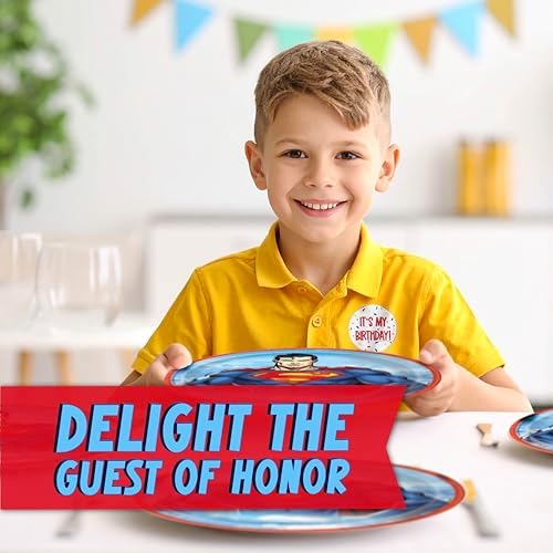 Unique Superman Party Plates and Napkins for 16