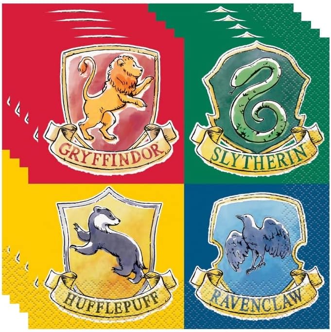 Harry Potter Birthday Party Supplies Decoration Bundle for 16