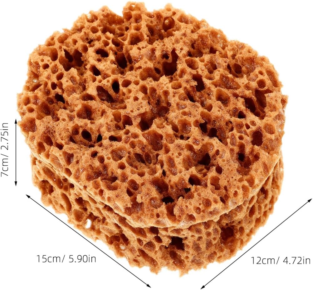 UPKOCH Natural Sea Sponge for Painting - 6 Inch Eco-Friendly Texturing Tool