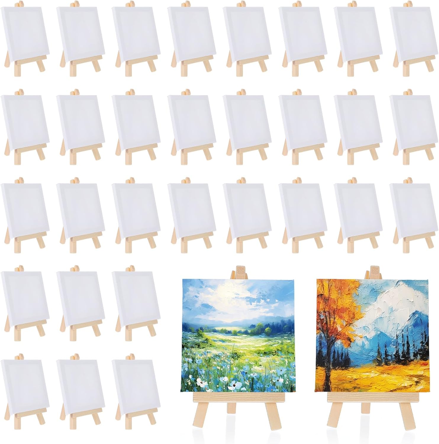 30 Pack Mini Canvases with Easel Sets for Art