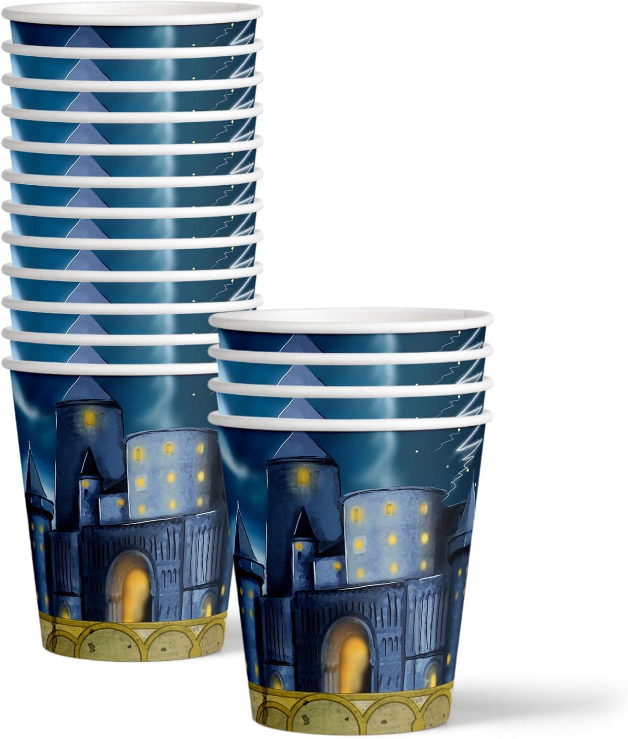 Wizard Castle Birthday Party Supplies for 16