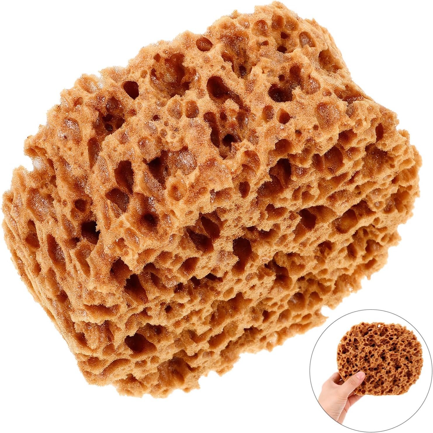 UPKOCH Natural Sea Sponge for Painting - 6 Inch Eco-Friendly Texturing Tool