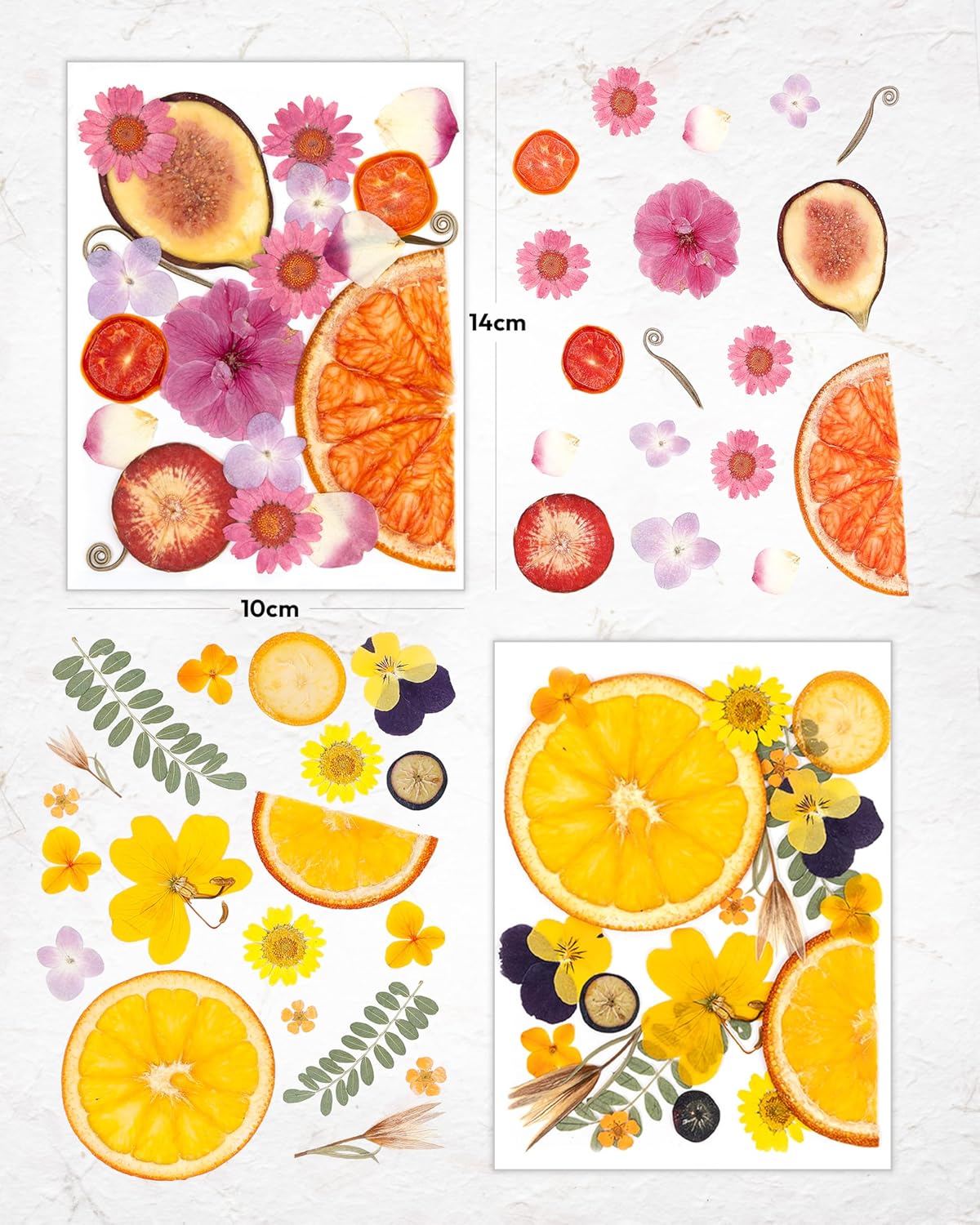 Resiners Bright Fruit Dried Flowers 80pcs