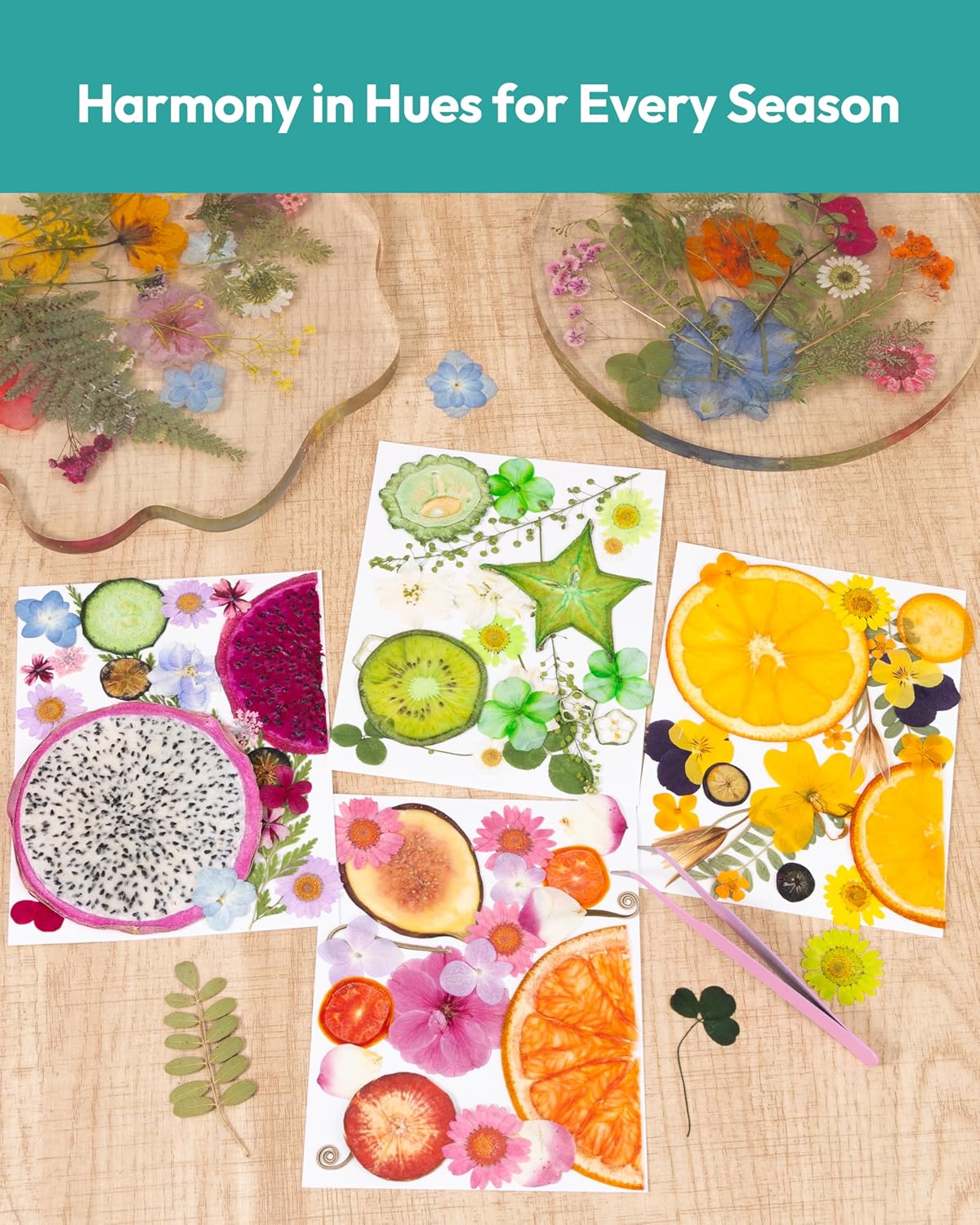 Resiners Bright Fruit Dried Flowers 80pcs