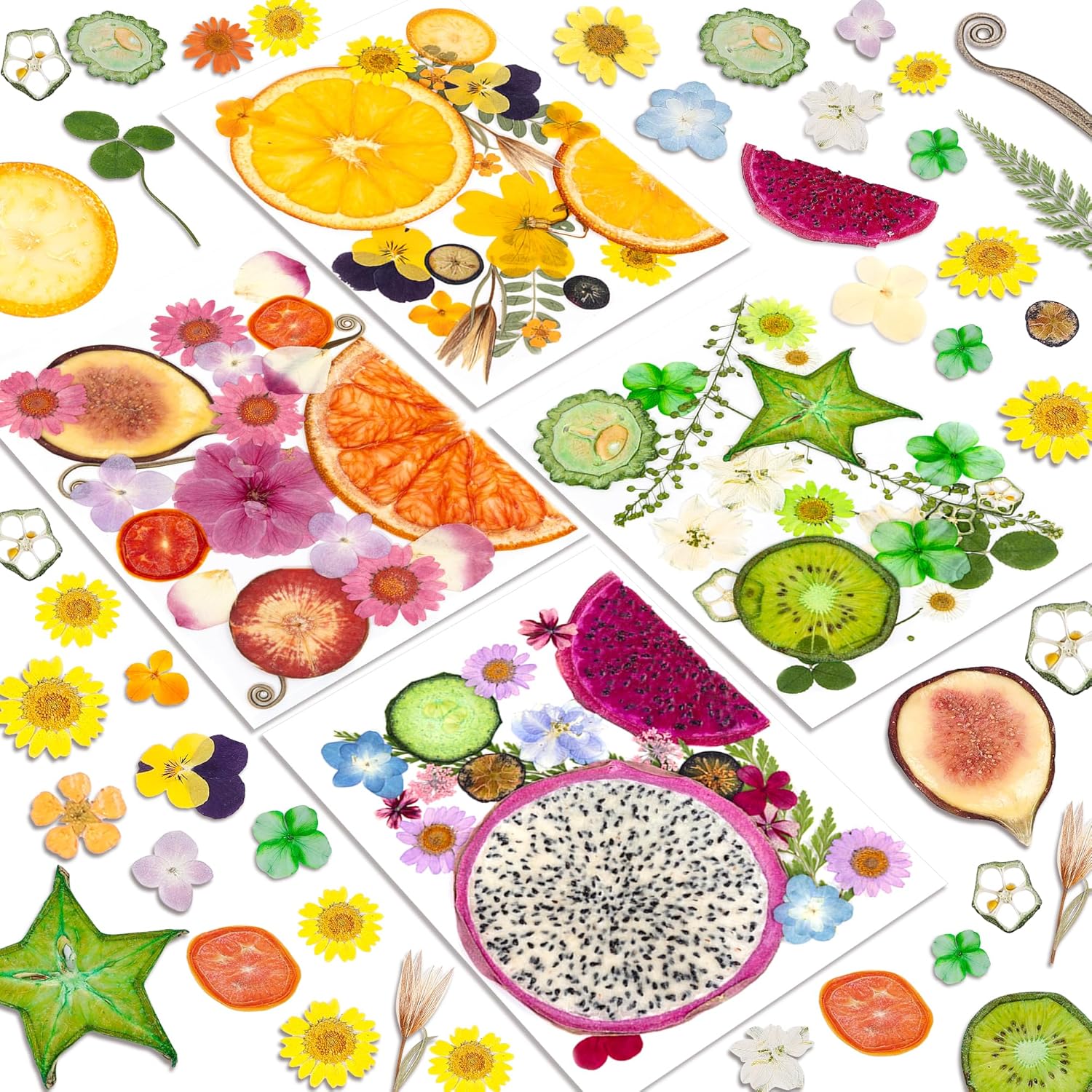 Resiners Bright Fruit Dried Flowers 80pcs